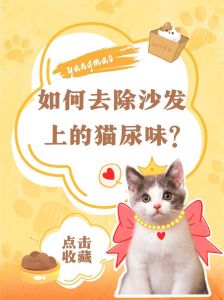 去除猫尿骚味的小妙招_去除猫尿味妙招，快速又有效