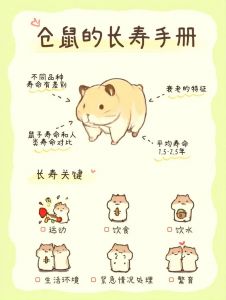 家鼠可以当宠物吗_温顺宠物鼠，饲养需注意