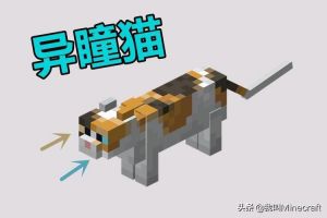 驯服小猫的21天游戏_我的世界如何驯服小猫，用鱼轻松搞定