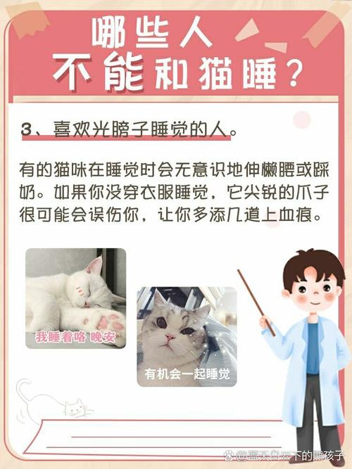 人可以跟猫咪一起睡吗_与猫同睡需注意安全与卫生 人可以跟猫咪一起睡吗_与猫同睡需注意安全与卫生