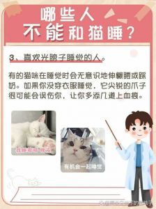 人可以跟猫咪一起睡吗_与猫同睡需注意安全与卫生