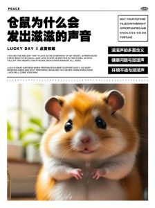 母仓鼠一直滋滋滋的叫很凶_仓鼠叫声有啥意思？