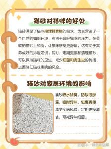 猫不用猫砂会憋死吗_猫咪不憋尿乱排泄怎么办？