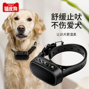 防止狗狗拆家神器_狗狗拆家是孤独焦虑，别怪它故意捣乱