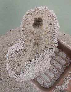 猫没有猫砂会一直憋着吗_猫咪憋不住尿，没猫砂盆会乱尿，注意健康！