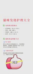 猫发了情要持续多少天_猫咪发情期怎么办？黏人乱叫？