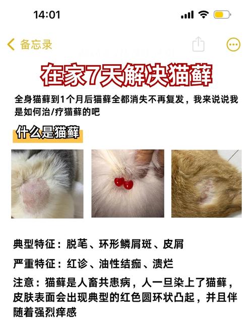 猫闻电蚊香液的中毒表现_电蚊香液对猫有毒,小心使用! 猫闻电蚊香液的中毒表现_电蚊香液对猫有毒,小心使用!