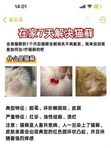 猫闻电蚊香液的中毒表现_电蚊香液对猫有毒，小心使用！