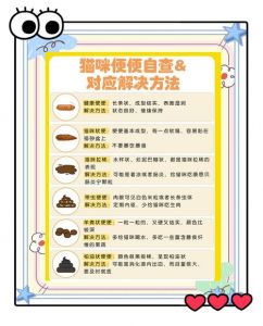 猫四天没拉屎但是很活泼_猫咪便秘怎么办？调整饮食多观察，严重需看兽医