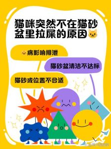 猫猫为什么把猫砂都刨出来_猫刨砂盆外怎么办？选对砂盆勤清理