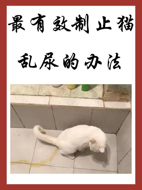 猫突然不在猫砂里尿_猫咪不拉屎?排查原因勤清洁! 猫突然不在猫砂里尿_猫咪不拉屎?排查原因勤清洁!
