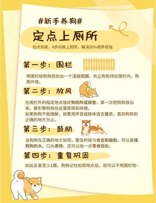 如何训练拉布拉多幼犬定点大小便_小狗乱尿怎么办?科学引导有妙招 如何训练拉布拉多幼犬定点大小便_小狗乱尿怎么办?科学引导有妙招