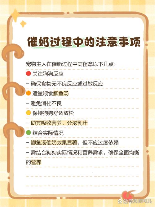 被小奶狗看上了该怎么办?养宠妙招与应对策略详解 被小奶狗看上了该怎么办?养宠妙招与应对策略详解