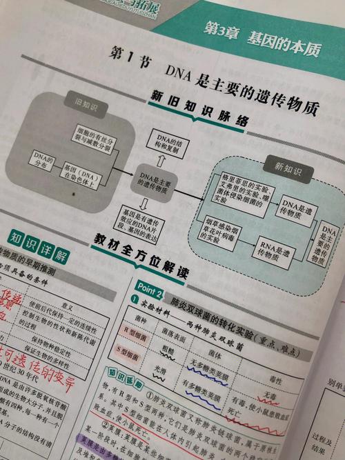 人马畜禽的DNA与狗的DNA关系研究:基因结构与遗传多样性分析 人马畜禽的DNA与狗的DNA关系研究:基因结构与遗传多样性分析