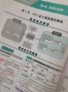 人马畜禽的DNA与狗的DNA关系研究：基因结构与遗传多样性分析