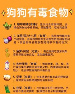 被狗咬忌口食物一览表_狗咬伤后伤口愈合饮食生活注意要点