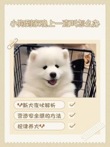 刚到家的小狗晚上一直叫_幼犬到家夜间哭闹怎么办？