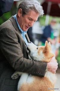 日本人和狗发生的感人故事_忠犬九年的涩谷守候