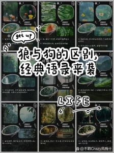 狼的女人为何会喜欢上狗：跨越物种的情感牵绊与复杂关系