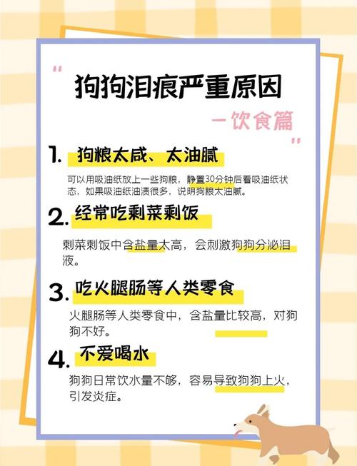 被自己家的狗狗捅出血了怎么办?家长应如何正确应对伤势处理与预防措施 被自己家的狗狗捅出血了怎么办?家长应如何正确应对伤势处理与预防措施