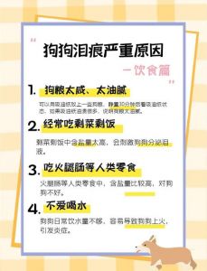 被自己家的狗狗捅出血了怎么办？家长应如何正确应对伤势处理与预防措施