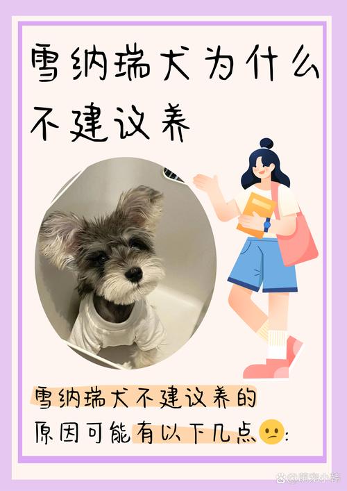 雪纳瑞犬为什么不建议养_难打理爱生病,训起来也费劲 雪纳瑞犬为什么不建议养_难打理爱生病,训起来也费劲