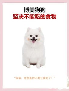 博美犬能吃橘子吗_橘子喂狗要小心，剥皮去籽少量试