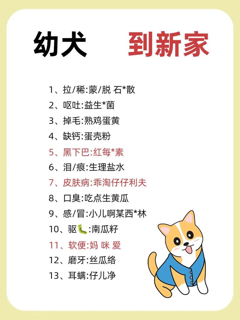 刚到家的狗狗注意事项_安心安抚与科学喂养 刚到家的狗狗注意事项_安心安抚与科学喂养