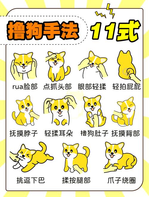 教狗狗22个动作手势_手势训狗,简单高效! 教狗狗22个动作手势_手势训狗,简单高效!