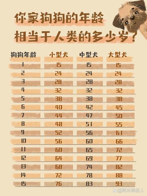狗活了12年相当于人多少岁_狗狗年龄换算新方法,更科学! 狗活了12年相当于人多少岁_狗狗年龄换算新方法,更科学!