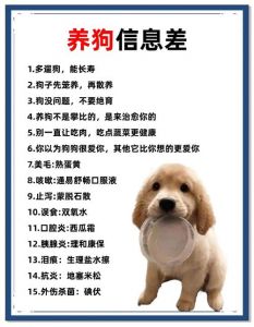 养狗的注意事项_养狗责任大，饮食健康行为好