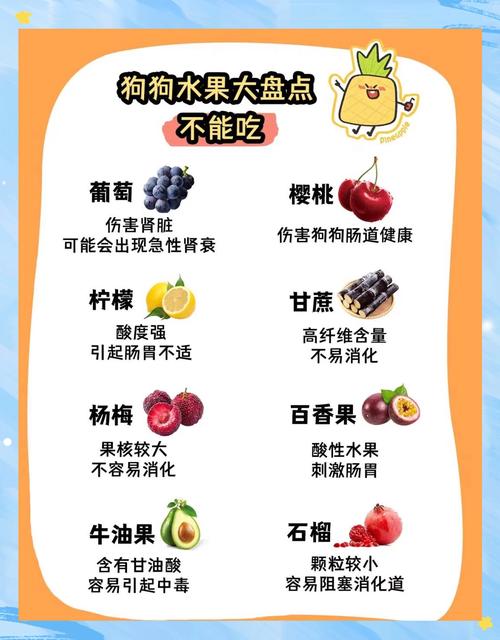 狗不能吃的十大水果_葡萄百香果核等有毒! 狗不能吃的十大水果_葡萄百香果核等有毒!
