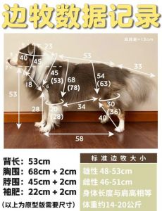 3招判断小狗能长多大_土狗幼犬成年体型判断