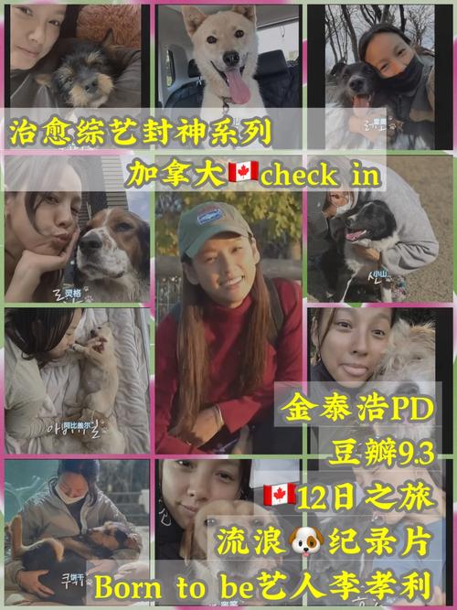 人狗奇缘剧情_狗狗不离不弃,温暖感人 人狗奇缘剧情_狗狗不离不弃,温暖感人