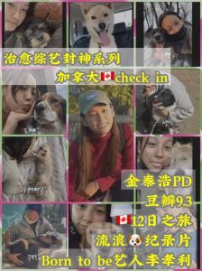 人狗奇缘剧情_狗狗不离不弃，温暖感人