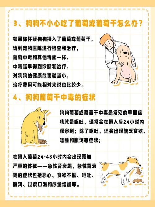 狗+吃葡萄+辟谣_葡萄对狗有剧毒,别喂! 狗+吃葡萄+辟谣_葡萄对狗有剧毒,别喂!