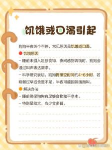 半夜狗子一直叫个不停怎么回事_狗狗半夜叫怎么办？排查原因及时应对