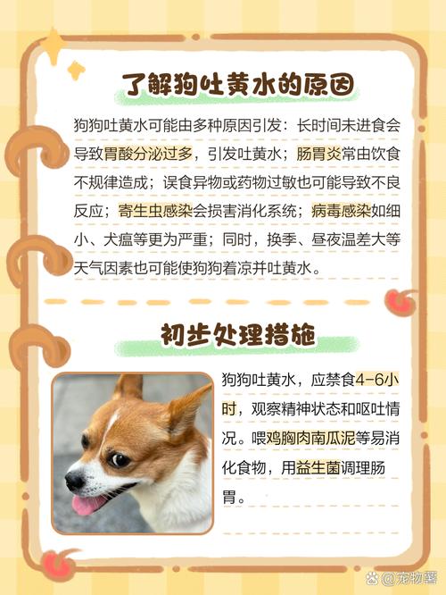 狗催肥最简单方法_狗狗偏瘦怎么办?科学增肥方法 狗催肥最简单方法_狗狗偏瘦怎么办?科学增肥方法