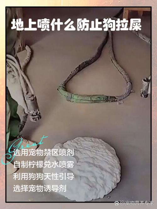 地上喷什么防止狗拉屎_门口撒点樟脑丸或辣椒面,狗狗尿尿不敢来 地上喷什么防止狗拉屎_门口撒点樟脑丸或辣椒面,狗狗尿尿不敢来