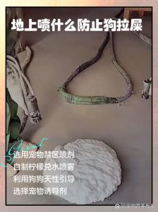地上喷什么防止狗拉屎_门口撒点樟脑丸或辣椒面，狗狗尿尿不敢来