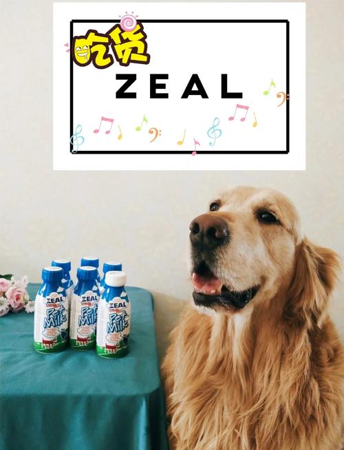 宠物狗能喝纯牛奶吗_狗狗喝羊奶粉好，牛奶易胀肚