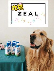 宠物狗能喝纯牛奶吗_狗狗喝羊奶粉好，牛奶易胀肚