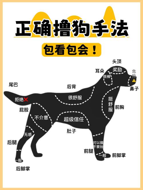 狗能与人一同被关在同一空间吗?关于宠物与人共同生活的可能性与注意事项 狗能与人一同被关在同一空间吗?关于宠物与人共同生活的可能性与注意事项