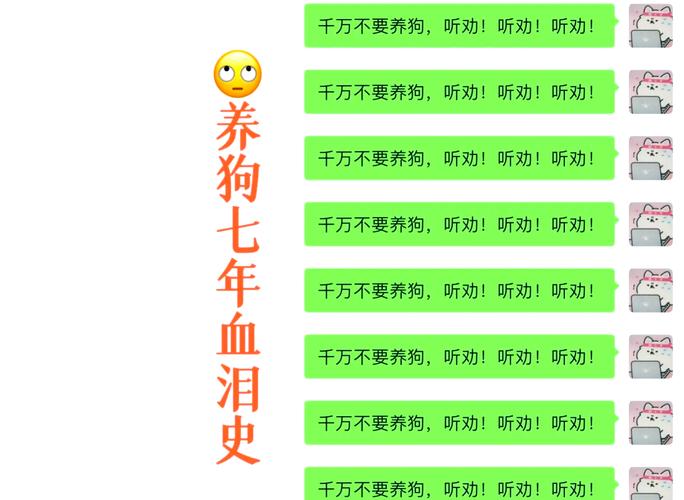新手养狗10大忠告_食物疫苗驱虫,科学喂养,依法养犬 新手养狗10大忠告_食物疫苗驱虫,科学喂养,依法养犬