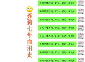 新手养狗10大忠告_食物疫苗驱虫，科学喂养，依法养犬