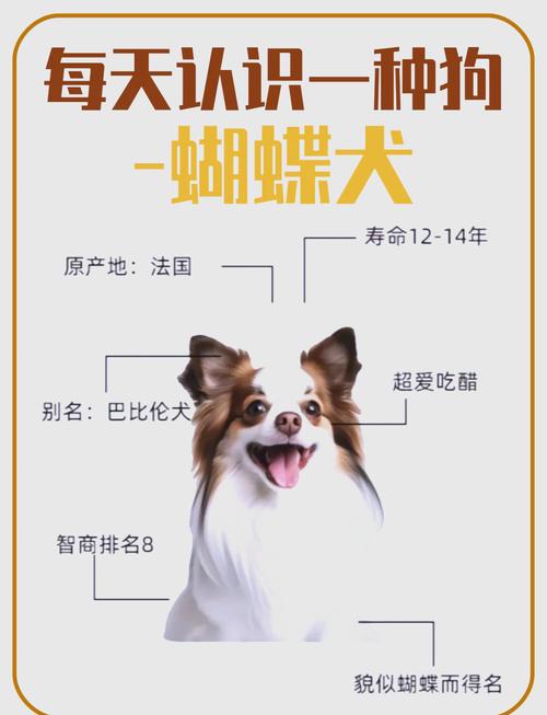 为什么公狗佩戴蝴蝶结时会卡住,以及应对的方法是什么 为什么公狗佩戴蝴蝶结时会卡住,以及应对的方法是什么