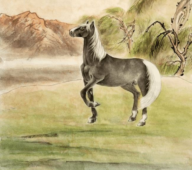 详细揭秘马胶配方全过程,视频展示制作每一步的精彩过程 详细揭秘马胶配方全过程,视频展示制作每一步的精彩过程