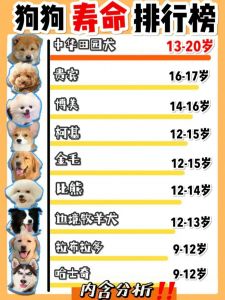 8年的狗狗算不算老_饮食体检多陪伴