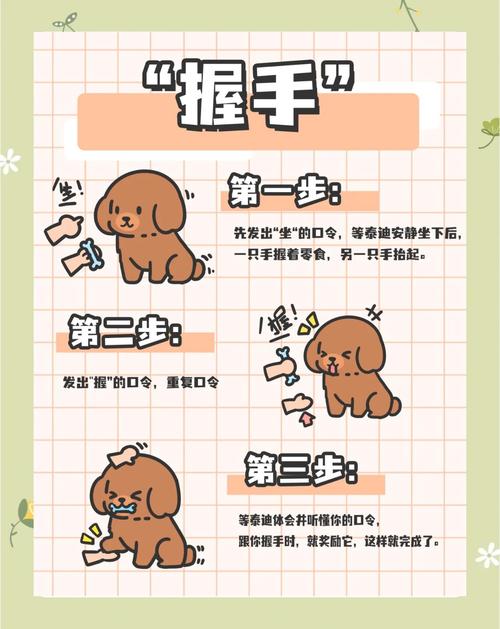 教小狗狗最简单的动作_听话又亲民 教小狗狗最简单的动作_听话又亲民