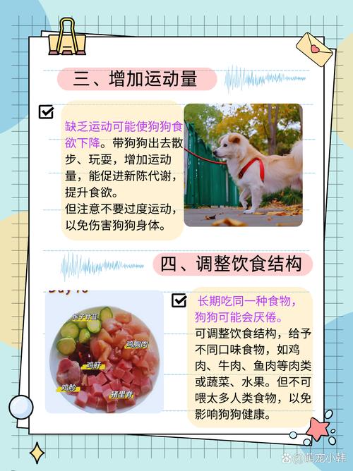 狗不吃不喝能活几天_狗狗多久能活?幼犬老年犬不同,不吃不喝要快送医 狗不吃不喝能活几天_狗狗多久能活?幼犬老年犬不同,不吃不喝要快送医